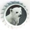 bg-00365 - Knut