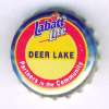 ca-03211 - Deer Lake