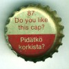 fi-06025 - 87. Do you like this cap? Pidätkö korkista?