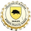 fr-02054 - Saales