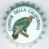 it-02161 - Condor Della California