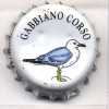 it-00485 - Gabbiano Corso