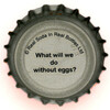us-07324 - What will we do without eggs