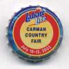 ca-01186 - Carman Country Fair