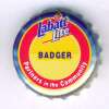ca-03196 - Badger